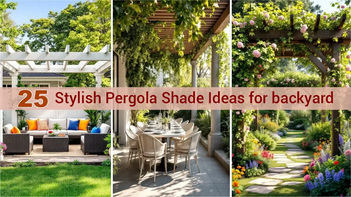 Stylish Pergola Shade Ideas to Transform Your Backyard